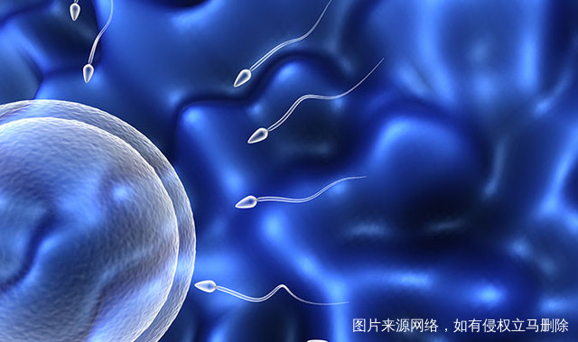 兰州大学第一医院三代试管婴儿时间周期