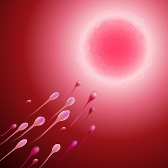 测精子X40Y60是什么意思？精液质量关键指标与生育力解析