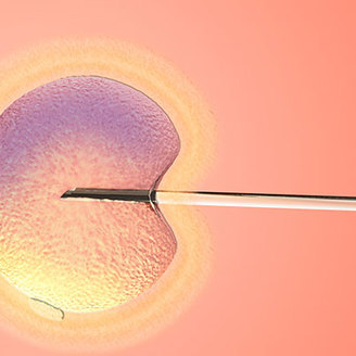 降调促排一起打,卵泡真的会自己破吗?一文解析