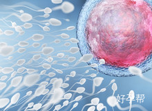 染色体易位做三代试管能移植两个胚胎吗？医学评估与风险把控全解析