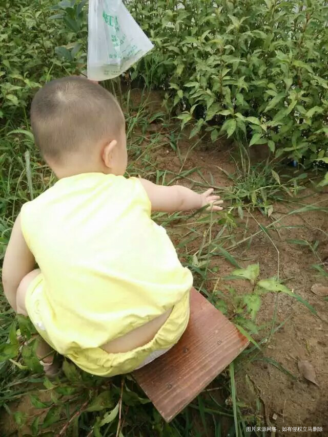 【我和宝宝的美好时光】陪伴是最长情的告白