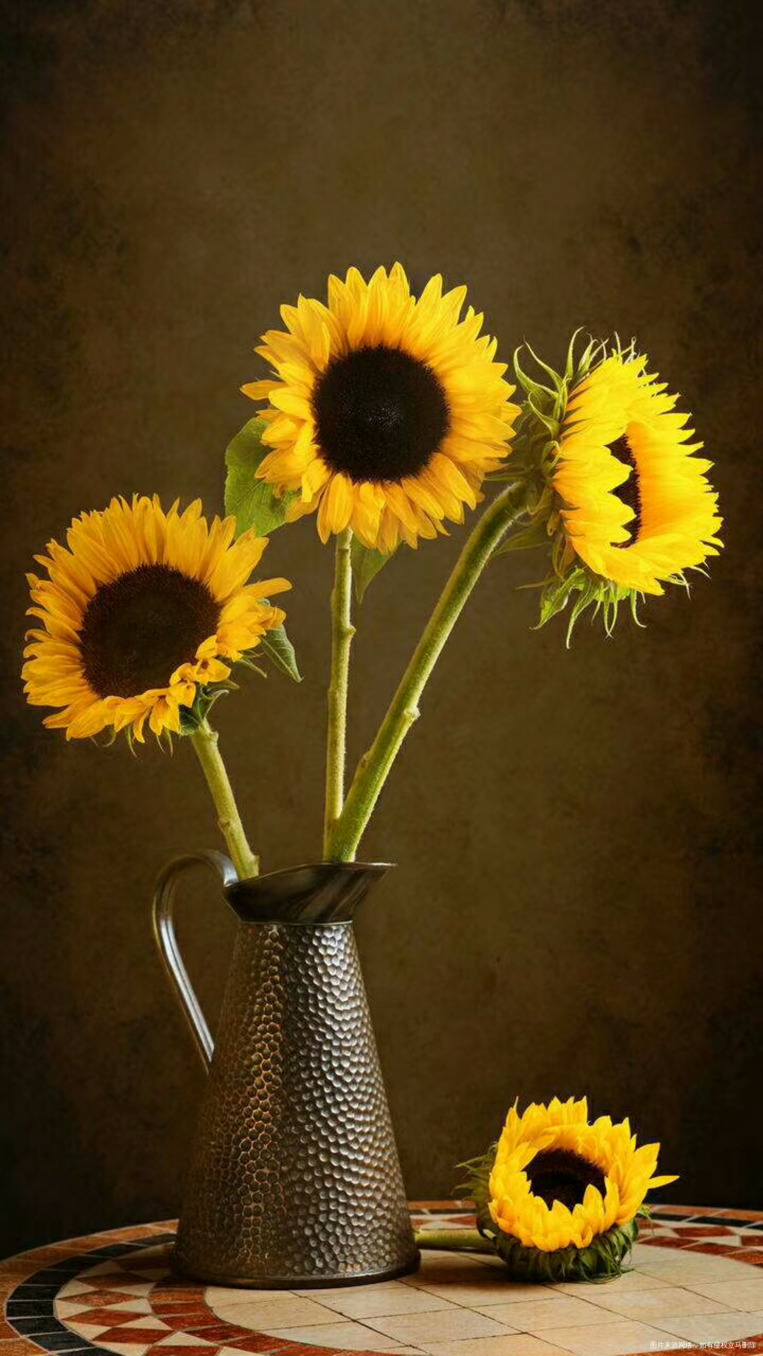 【至我的妈妈】不养儿不知父母恩