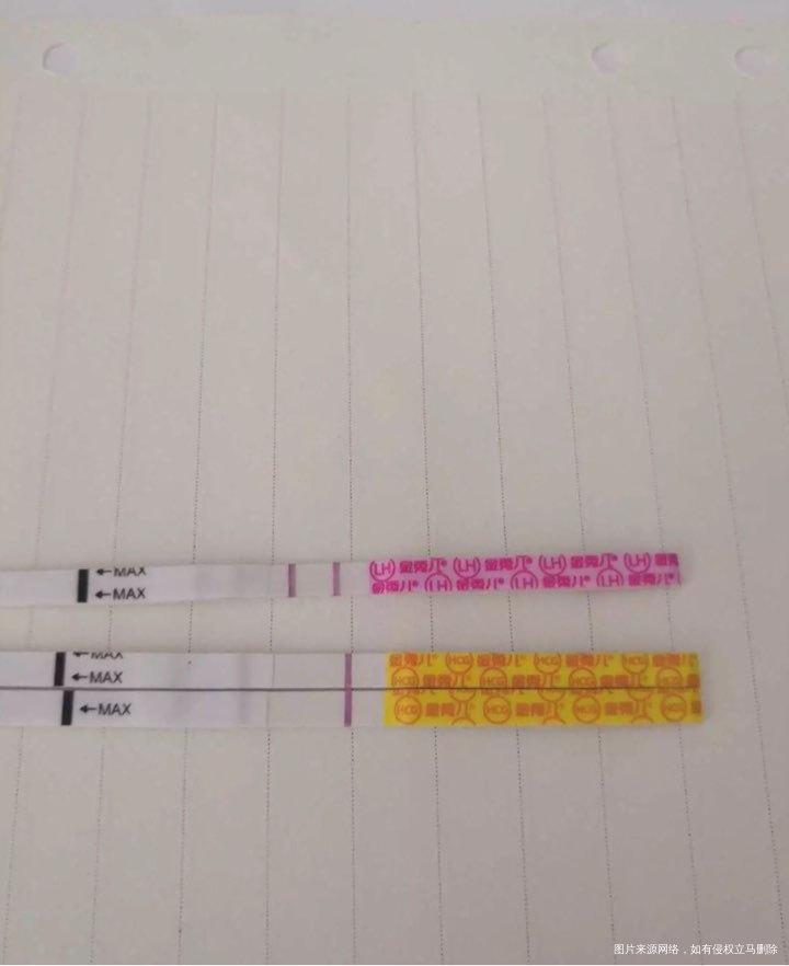 16到19号排卵的有吗??