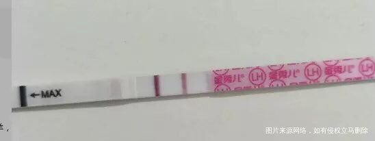 是不是要爱爱了呀哈哈