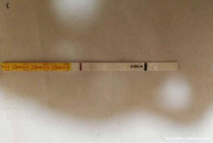 25号排的卵 测出了粉杠