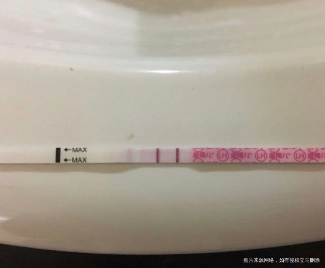 29号排 今天排卵试纸强阳