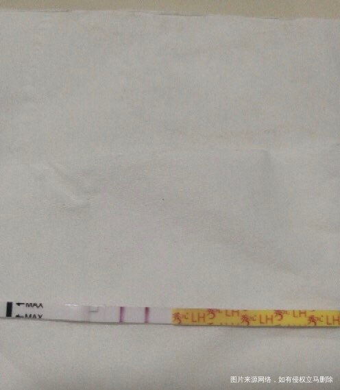 不敢测早孕的姐妹们 可以先测下排卵