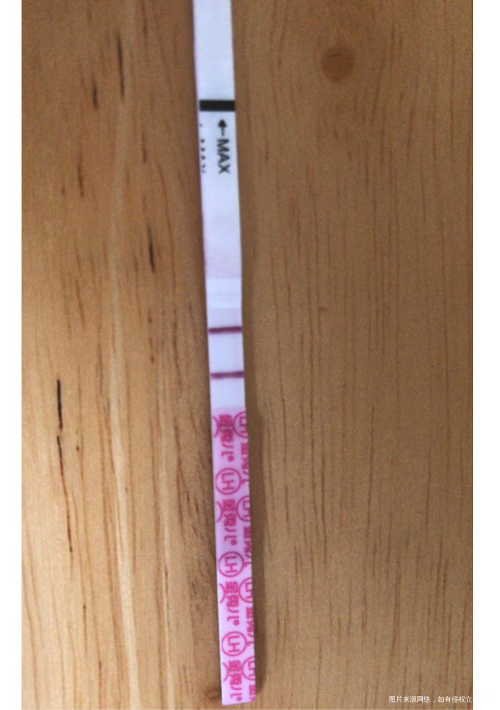 9月12排卵期 希望顺利怀上宝宝