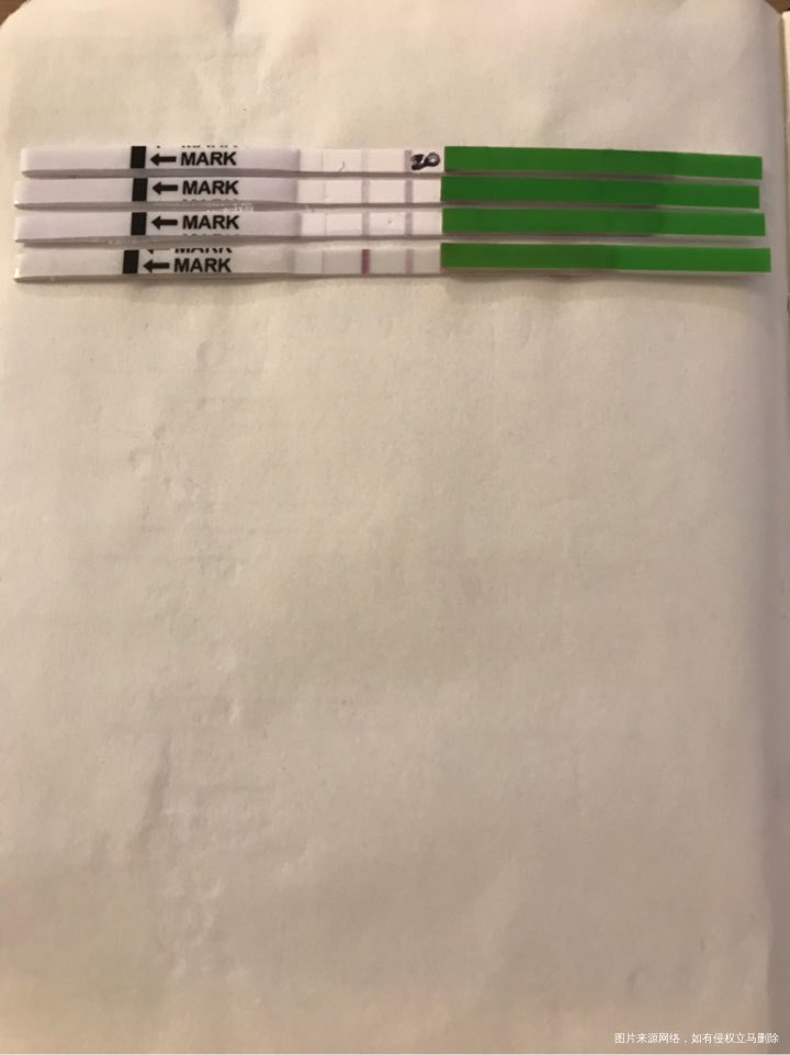 移植第七天,排卵强阳了