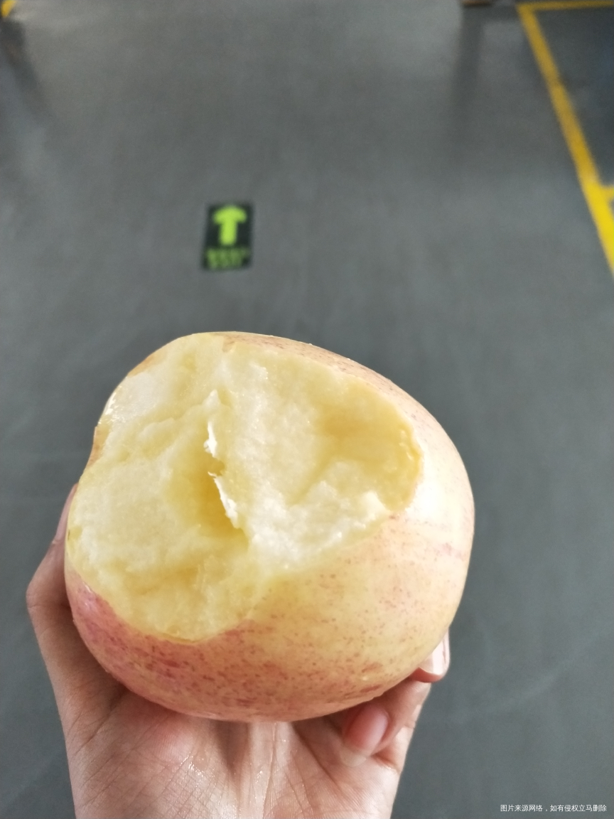 今天不吃饭啦天热没胃口