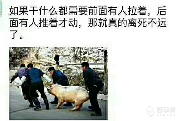 如果干什么都要前面有人拉着,后面有人推着