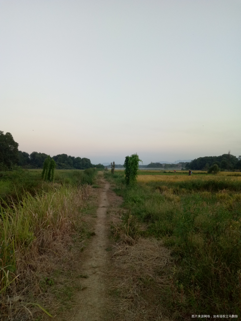 简简单单的生活,就喜欢这种感觉