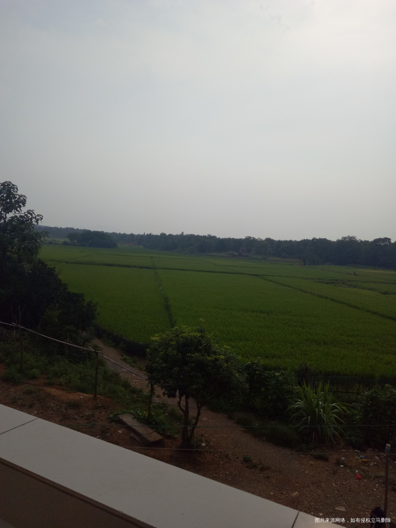 简简单单的生活,就喜欢这种感觉