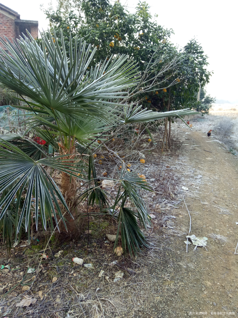 好冷呀,呆在家都没出去了