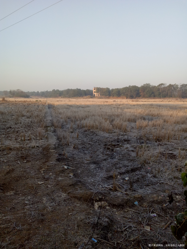 好冷呀,呆在家都没出去了