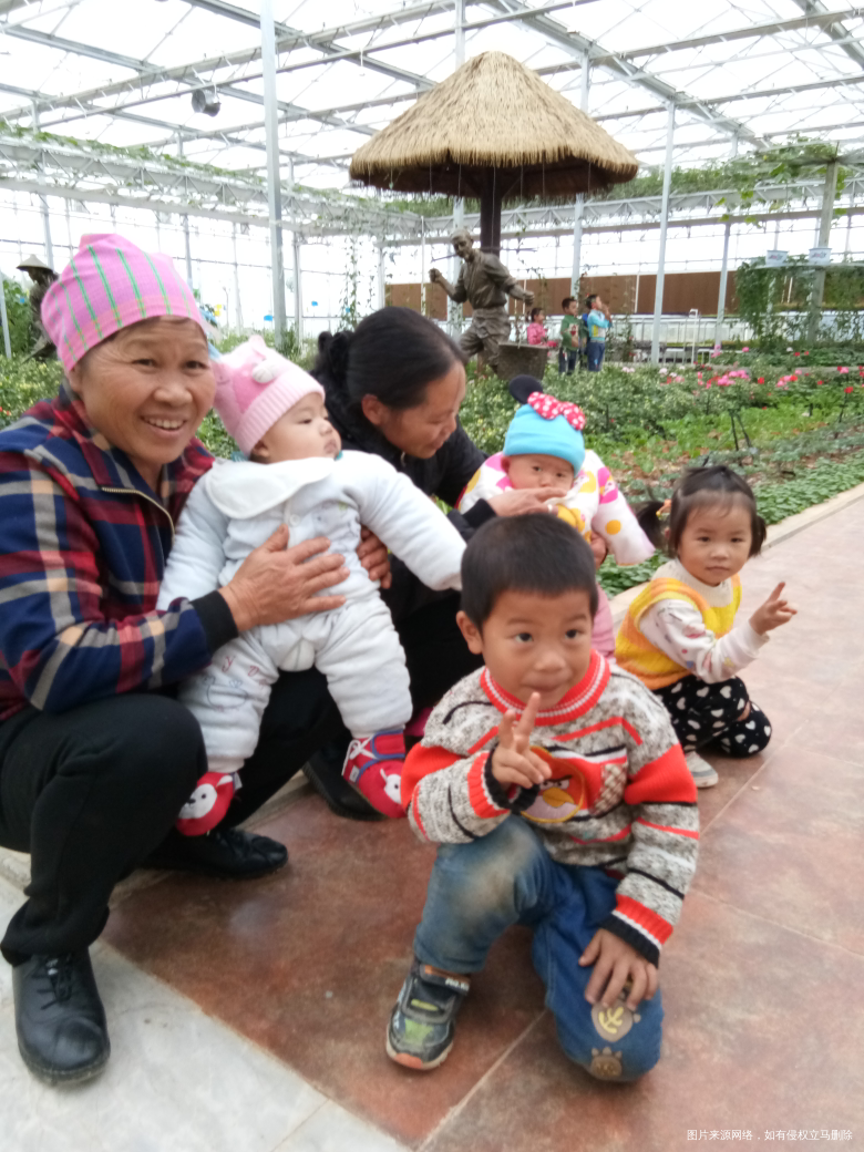 去了大棚里看绿色食品,蛮好看😊