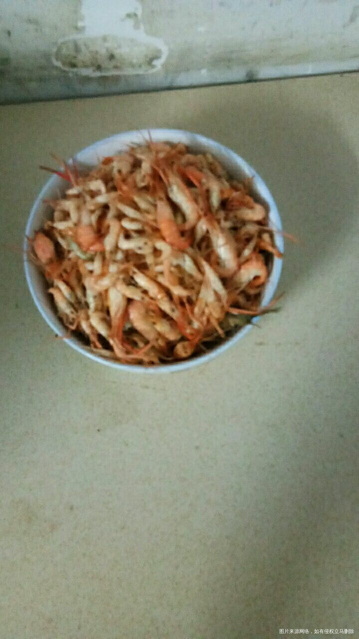 爸爸装的小虾公,看看吧😄