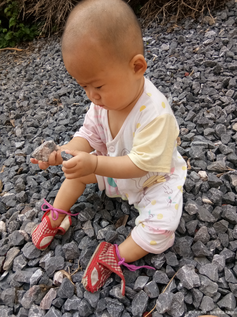 这么小就要来石头了,哈哈😄