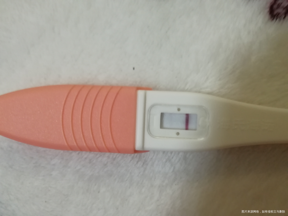 终于等到你还好我没放弃