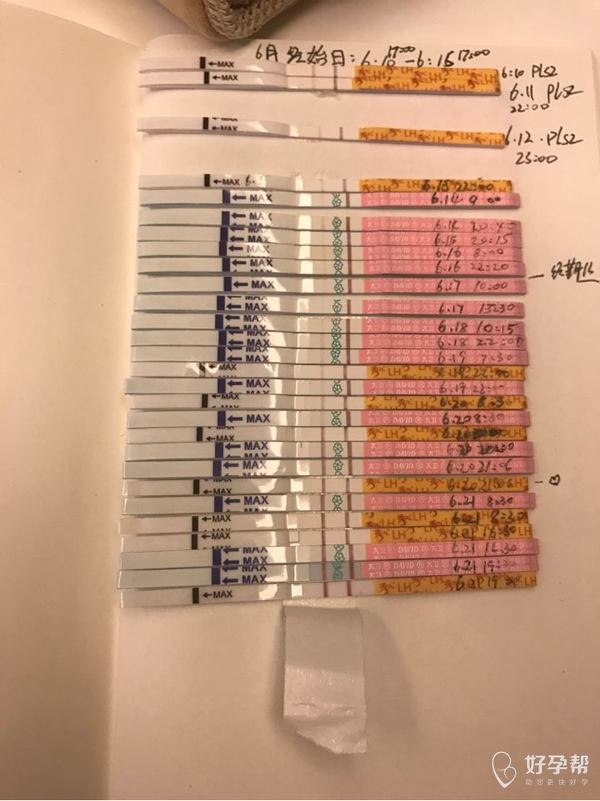 排卵试纸看似昨天和今天都是强阳,如何安排同房