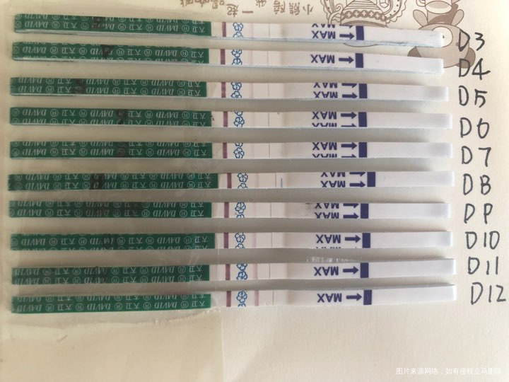 今天要去官方了,希望能翻倍