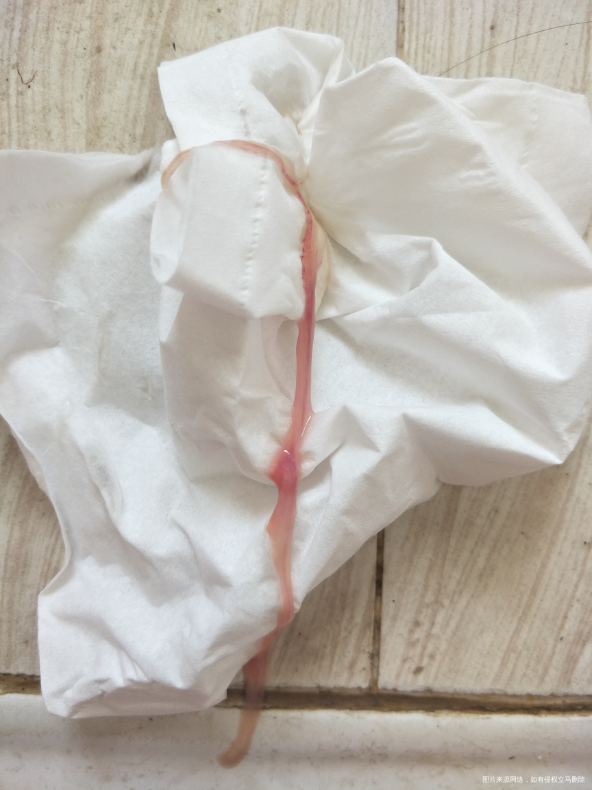 医生医生,进来帮忙看看