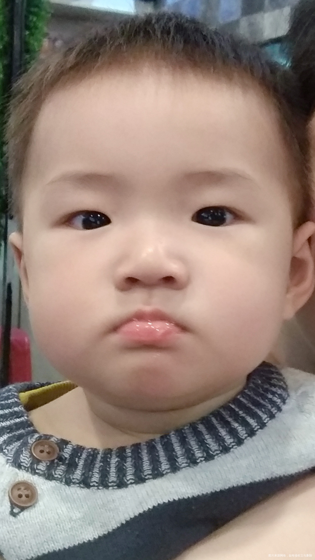 我的晚饭 紫菜包饭,有没有想吃的