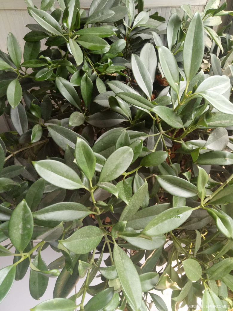 【迎五一,我耀你最美】向劳动者们致敬!