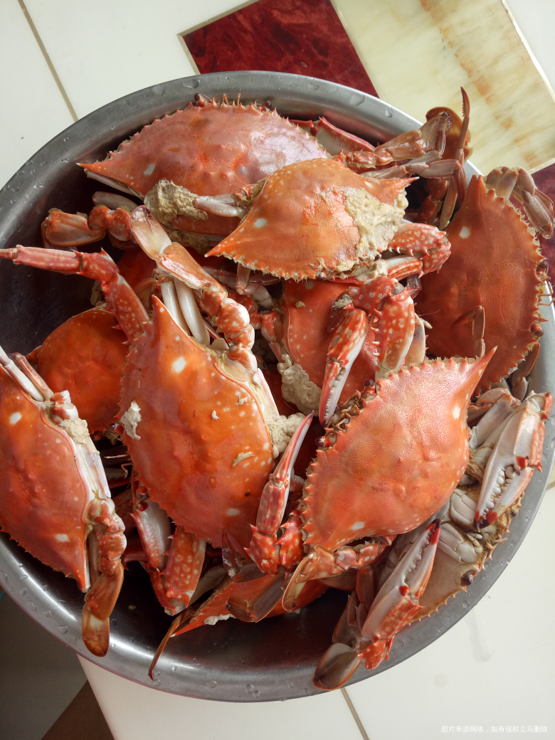 孕妇可不可以吃螃蟹?准确答案