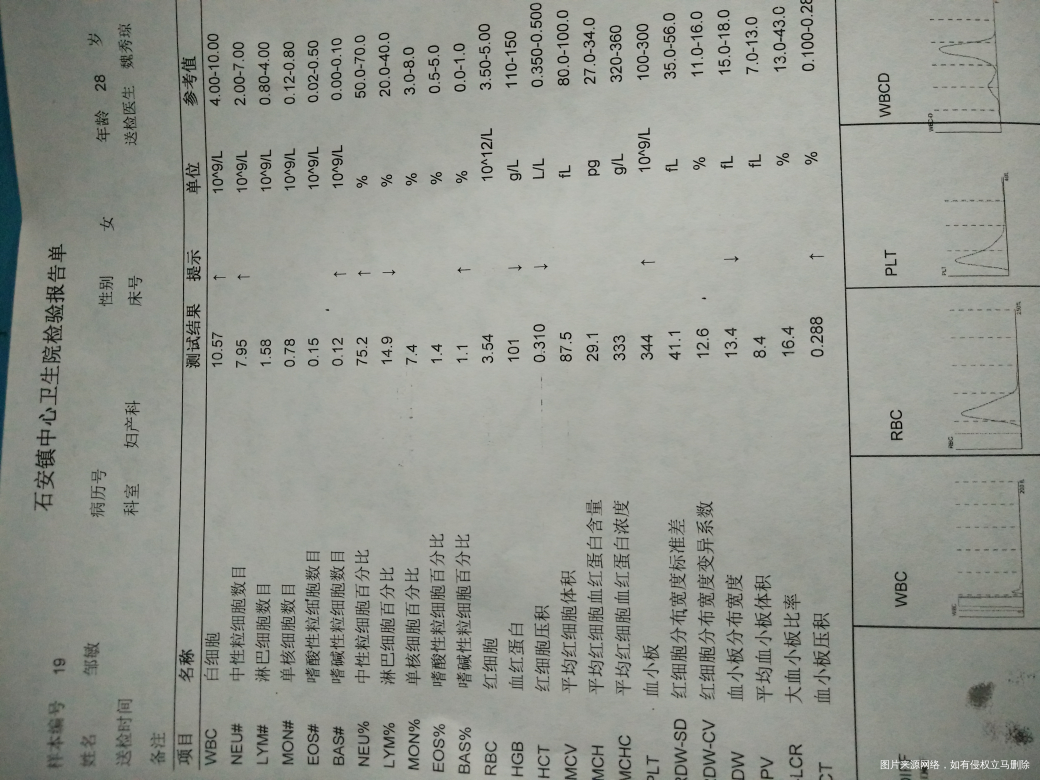 医生请帮我看看这结果是什么情况