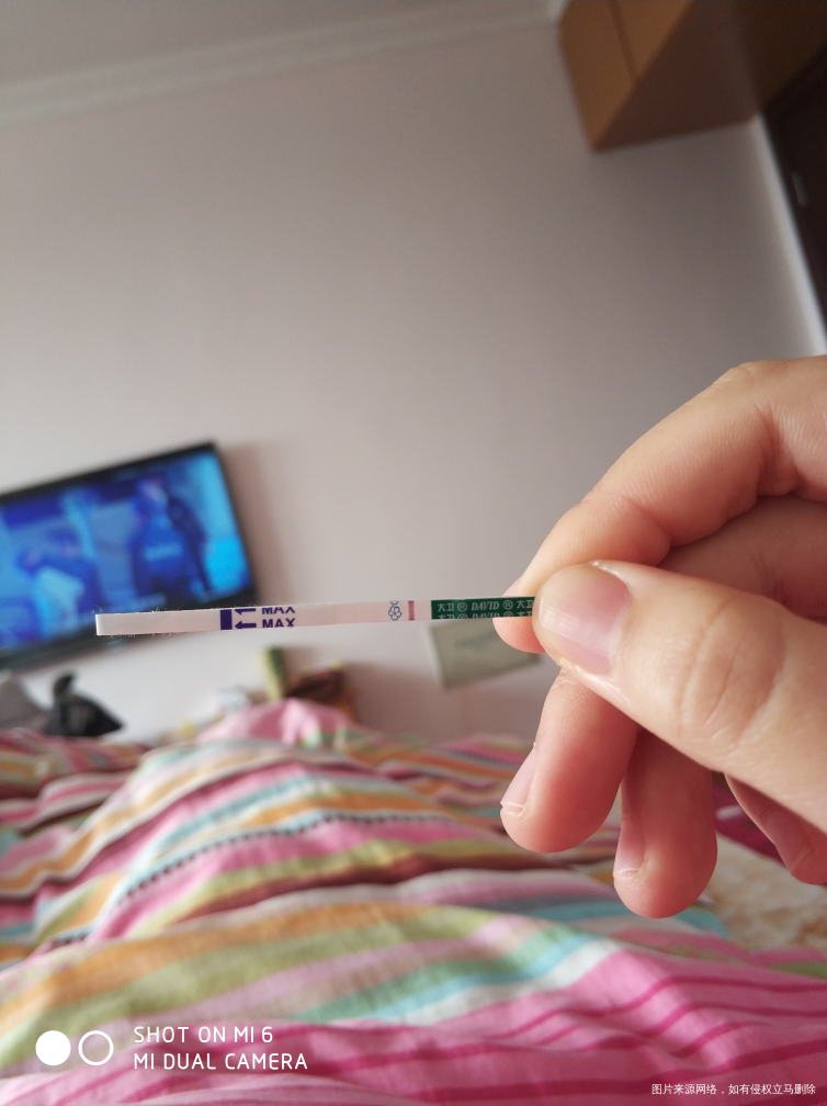 今天移植第五天,大卫颜色好淡