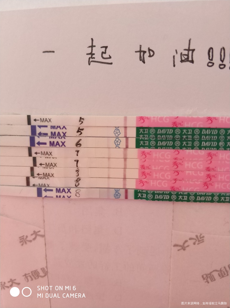 今天移植第八天了 ,姐妹们来讨论讨论