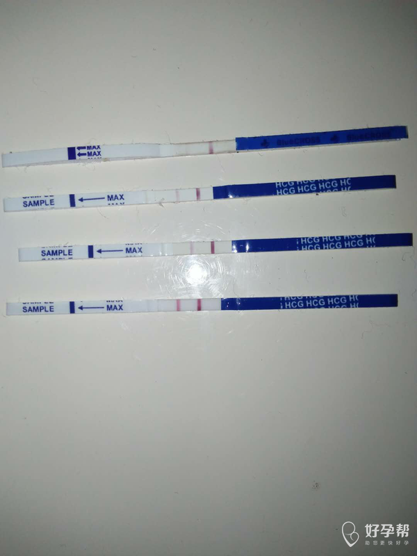 我怀啦测到双杠不会错了吧是怀孕错不了吧
