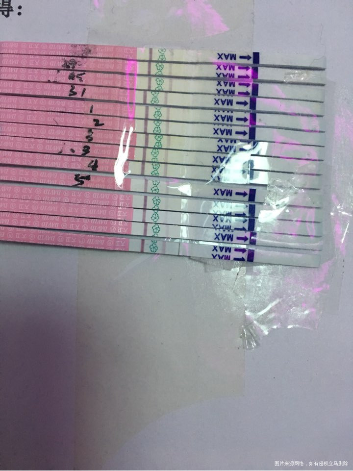 末次18号,测了半个月排卵试纸,