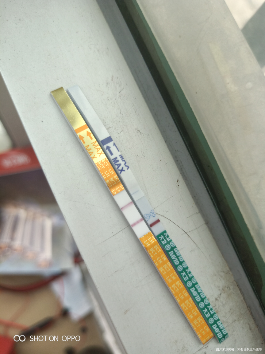 上个月12号来的,这个推迟了三天了,测了孕棒白板,排卵试纸两条杠