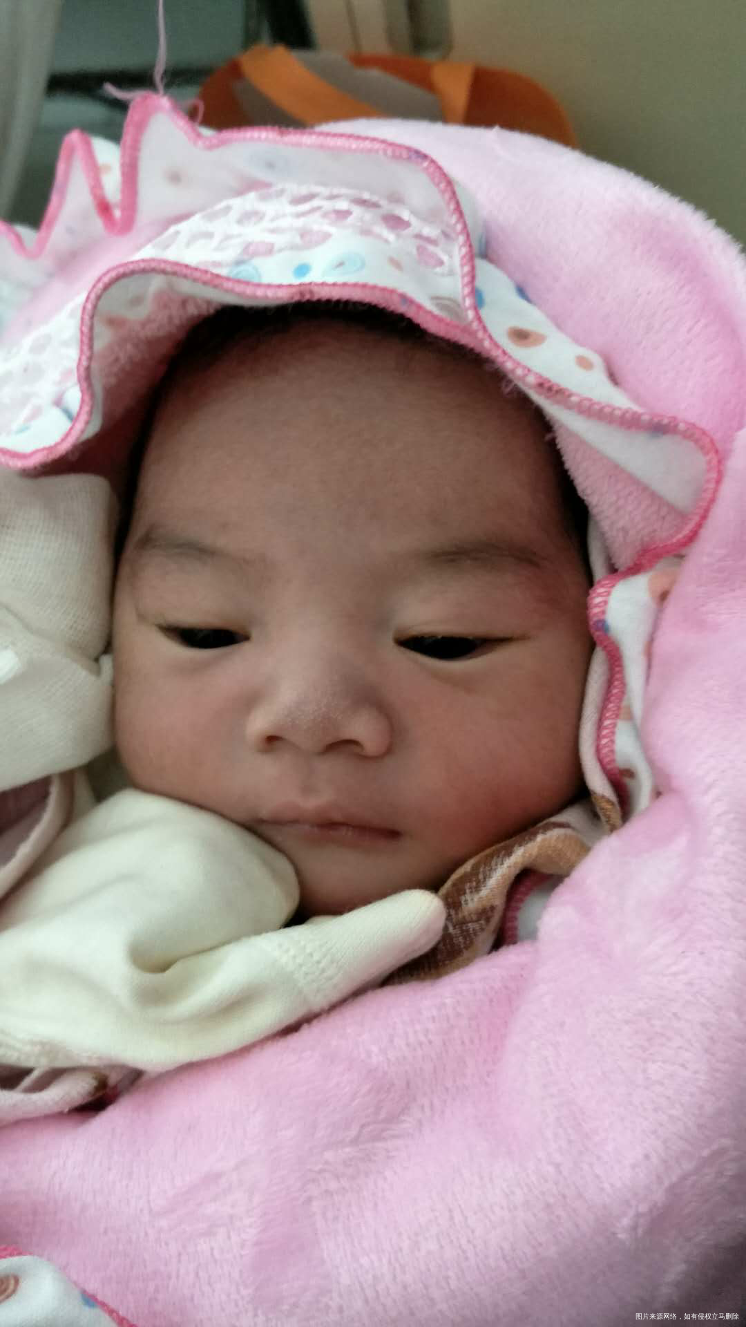 报喜啦,我生啦,感恩感恩