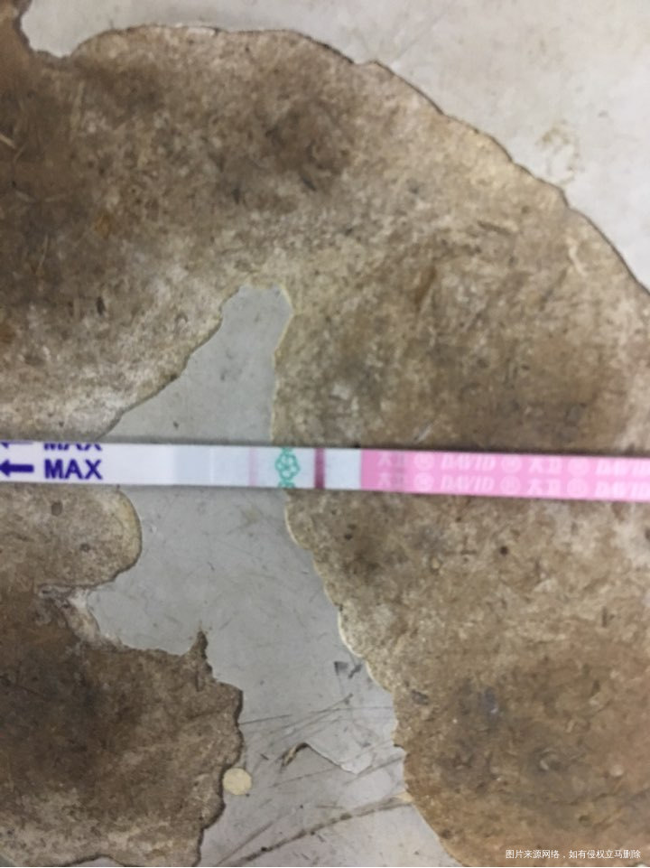 求助!排卵期延迟好几天了,这是快强阳了吗?