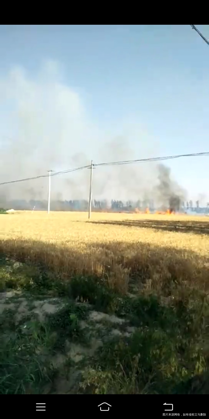 这么热的天 麦子地里着火了