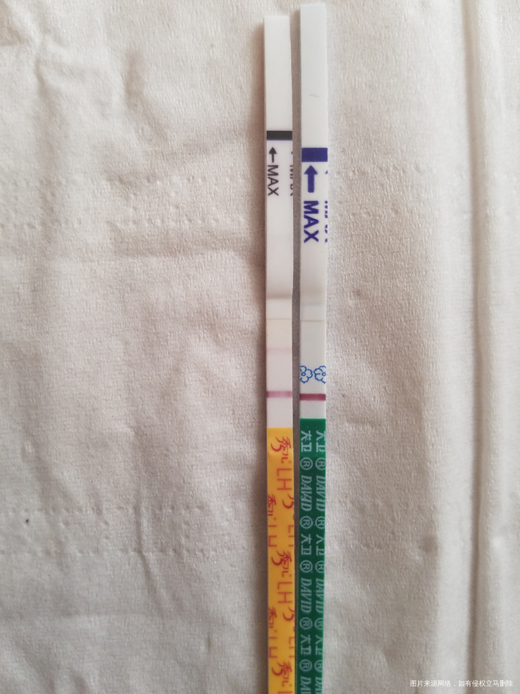 十天了,是不是没希望了!