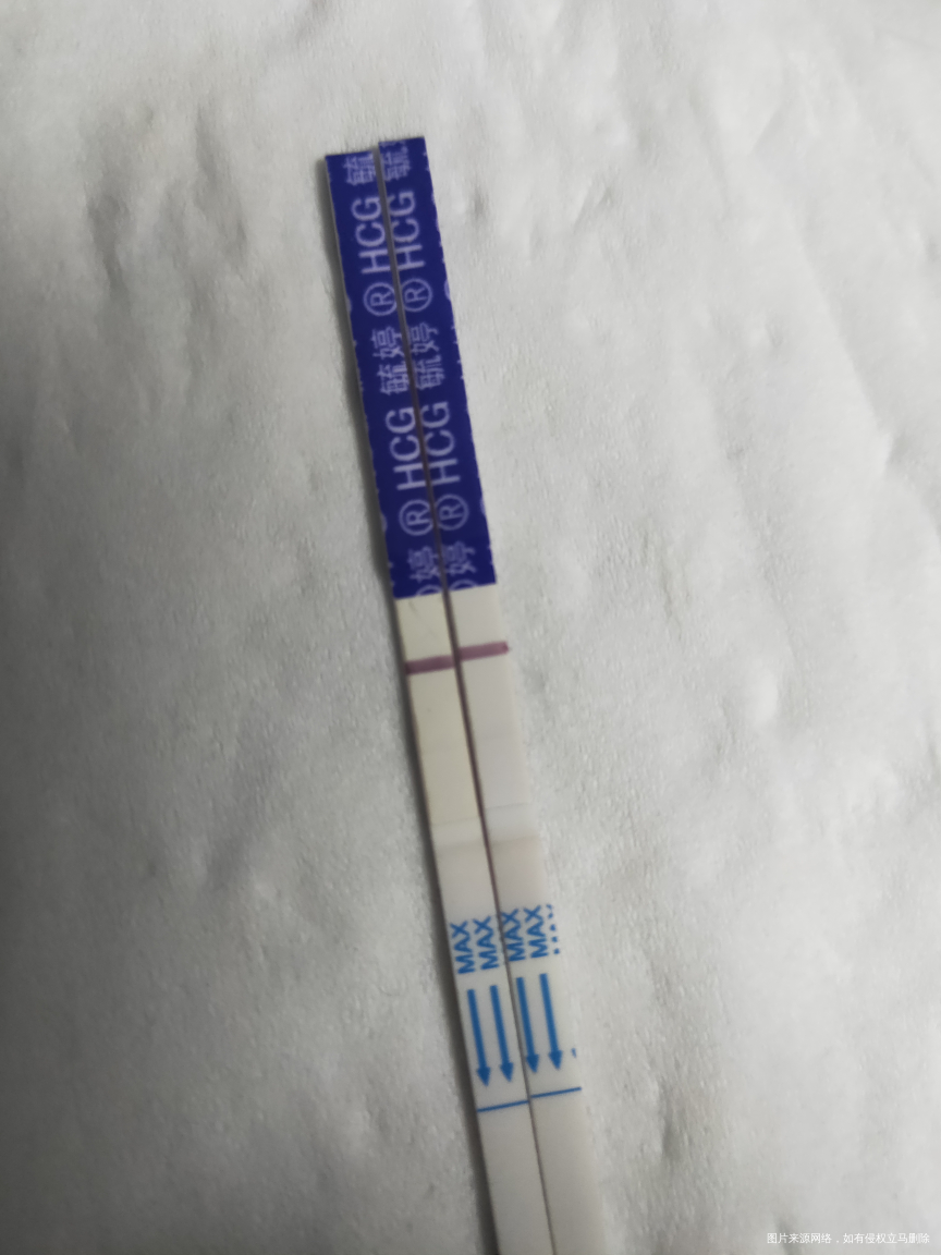 7号移植,测到都越来越浅,甚至测不到,无流血