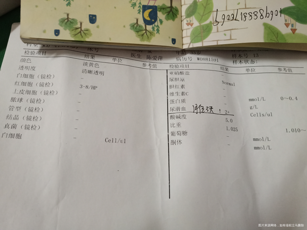 医生帮我看看这.些检查