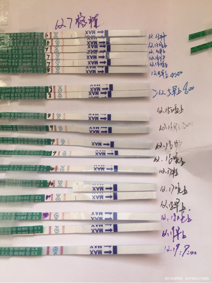 今天移植第十二天,血报告下午出,好忐忑