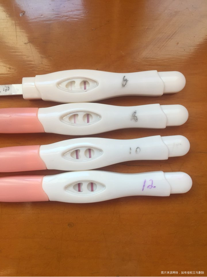 今天移植第十二天,血报告下午出,好忐忑