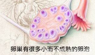 多囊是否必须要促排话题讨论中奖名单公布啦~