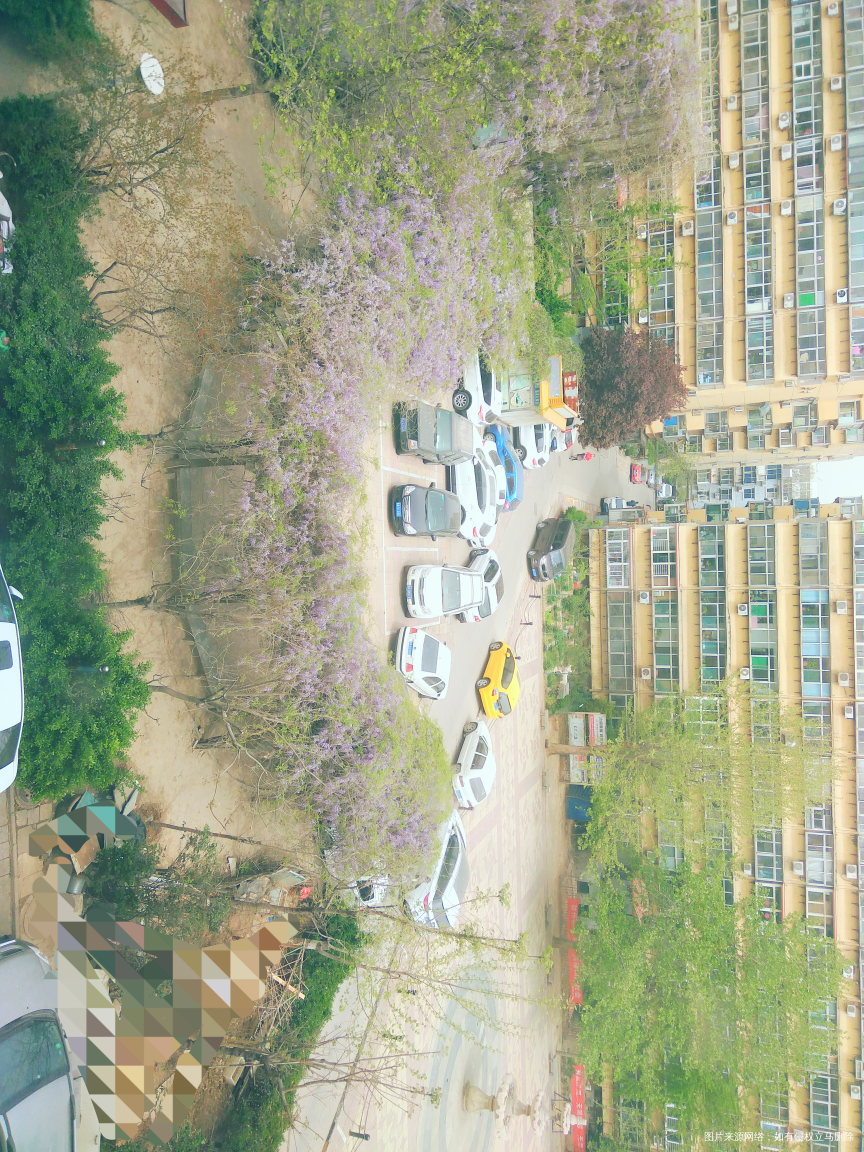 喜欢楼下的花香气味😁