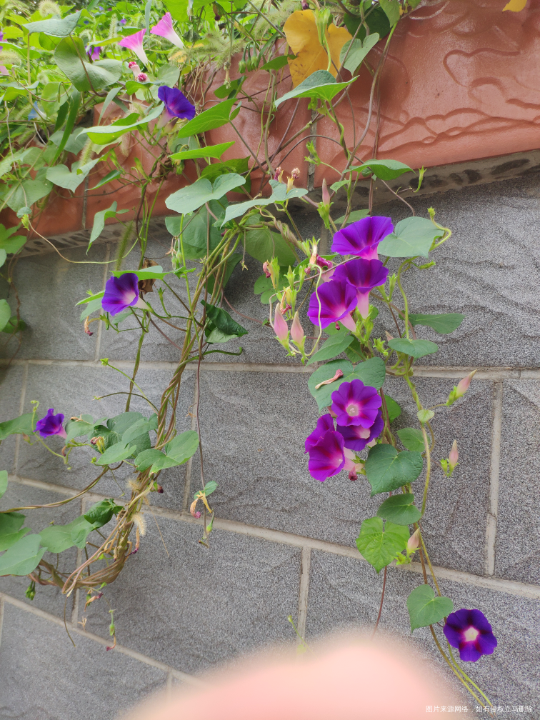 和老公走着去了水上公园