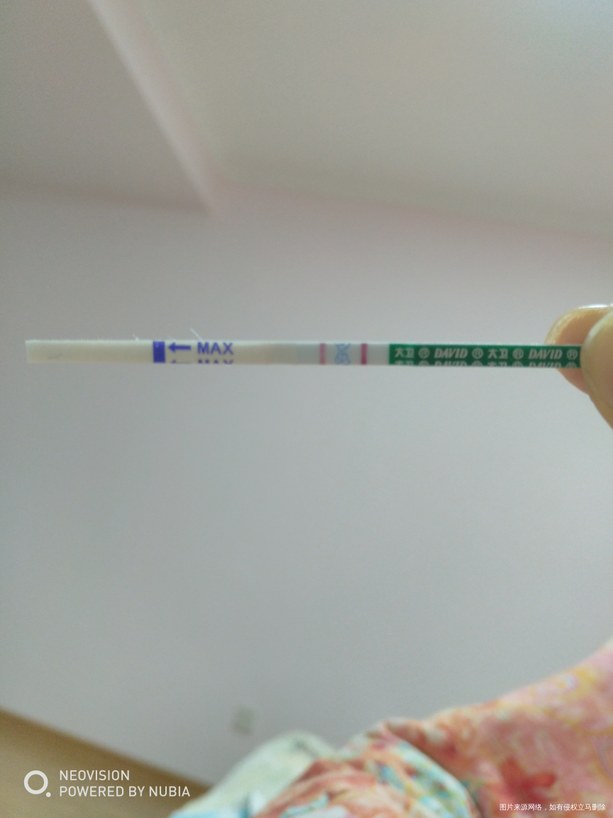 12月30日,今天是移植第十三天