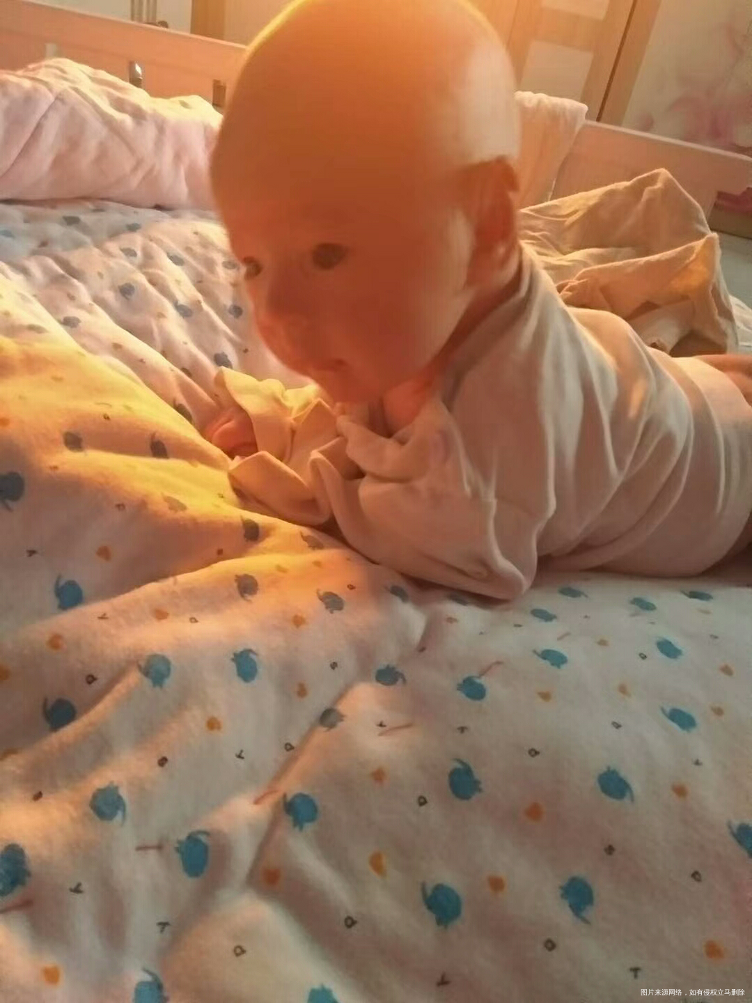 【小树成长记】——长大篇