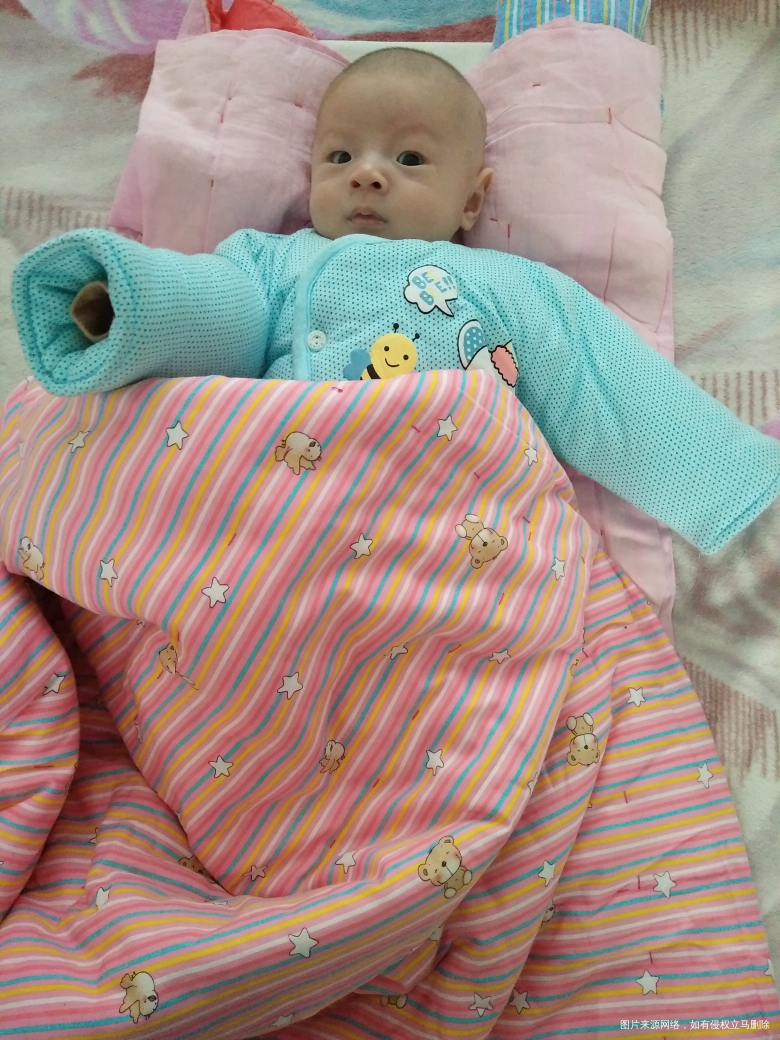 【小树成长记】——长大篇