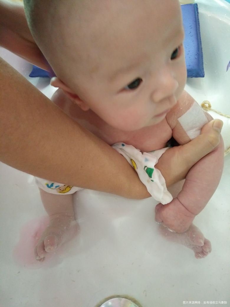 【小树成长记】——长大篇